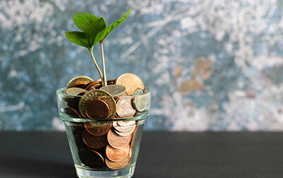 A glass flower pot with coins inside, a plant sprouting from the coins.